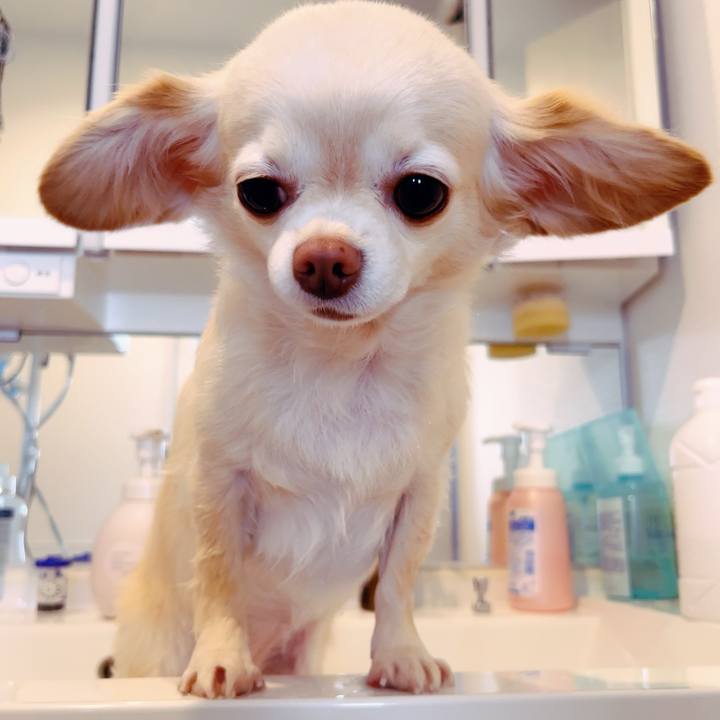 Af2db7bf 4b7c 460b a660 20e39e5d48a7 1759663956610