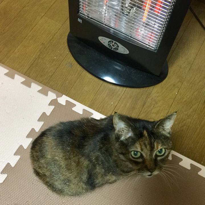 Af2dc5be bea8 469d a1da eeff8903347e 1580287545675