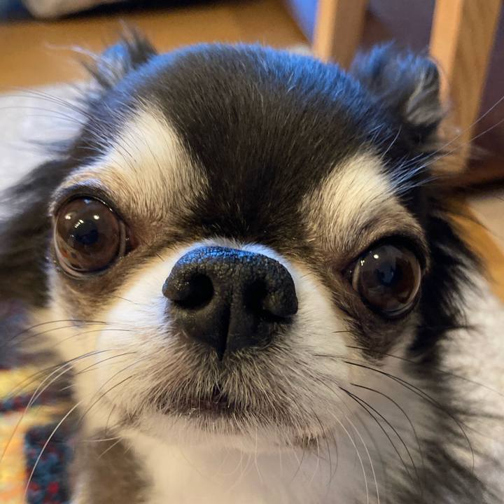 Af2dc640 78cc 401f ac9c ae3ff0160c27 1713051491326