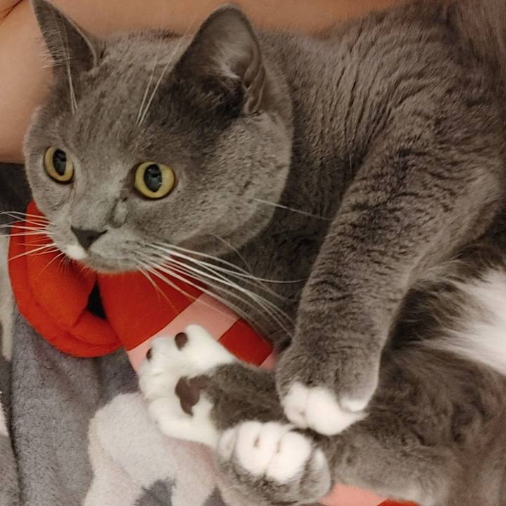 Af2dd258 12d2 4784 b380 8eeeee322018 1617491356399