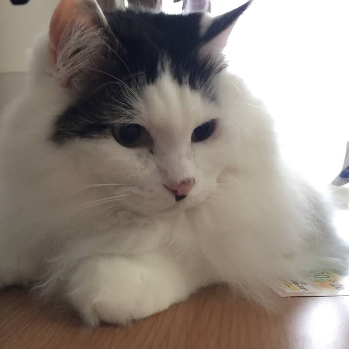 Af2ddd56 f1cf 4201 877b 13f5d25efe7c 1520555006679