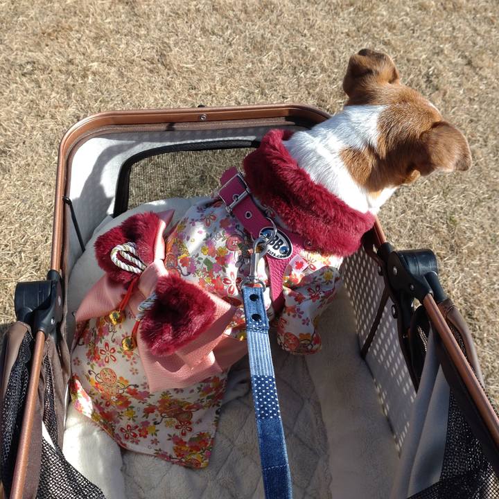 Af2de18d 7ed6 446a ab69 6c5426d1ea2a 1767483716332