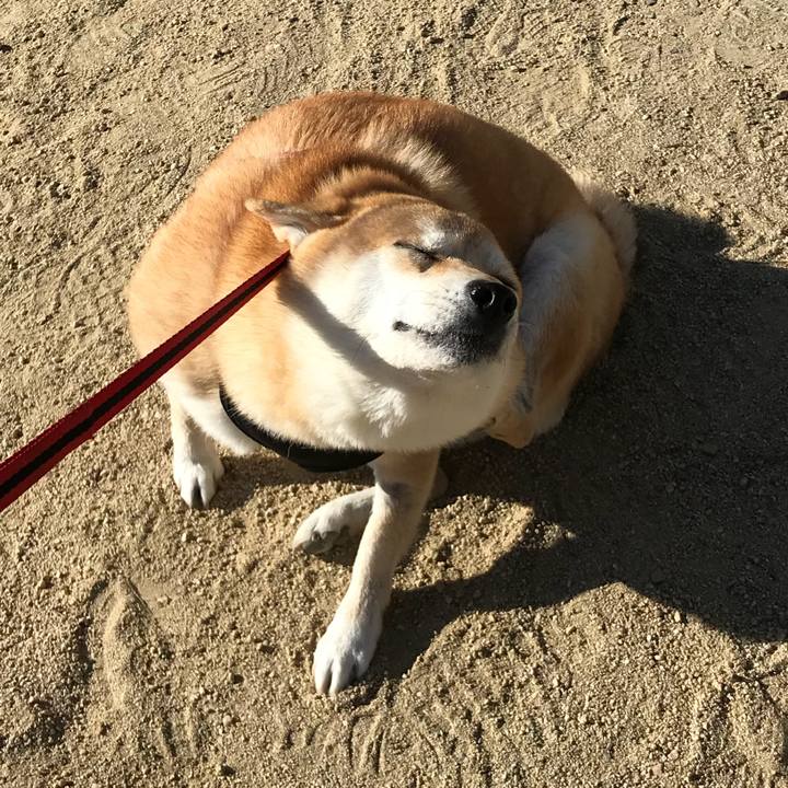 Af2de689 4a6c 48f4 ad05 b7da9877c6b3 1513493287388