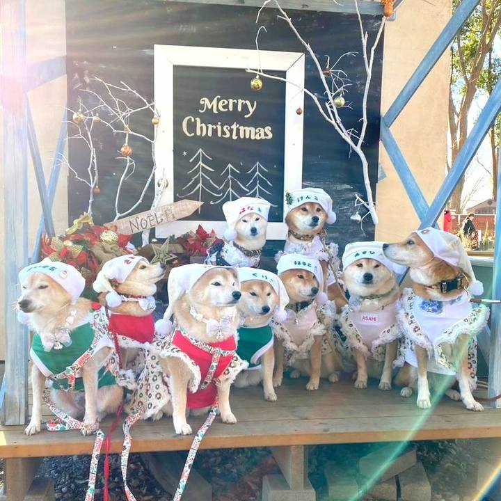 Af2df25f ee47 41d7 a70d ed9ae69ebe3e 1672129620255