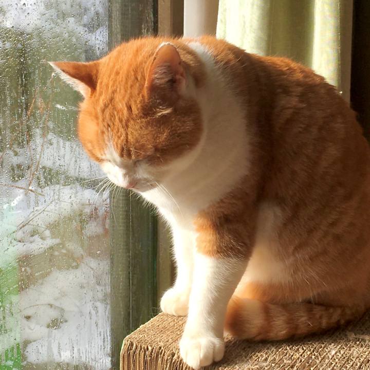 Af2dff39 60c7 40d6 b7f2 05bc96237dcc 1609407388818