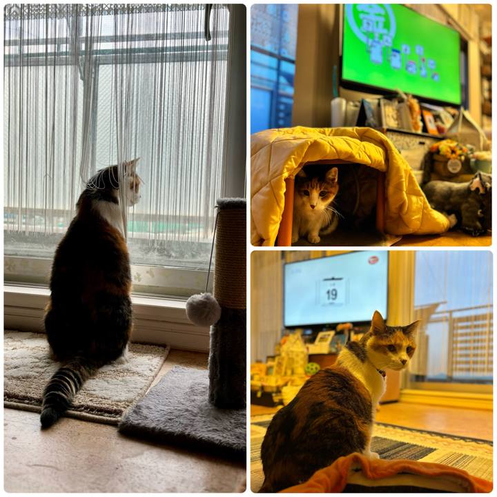 Af2e3952 60cd 4bb8 885b daba3b61f796 1705618863734