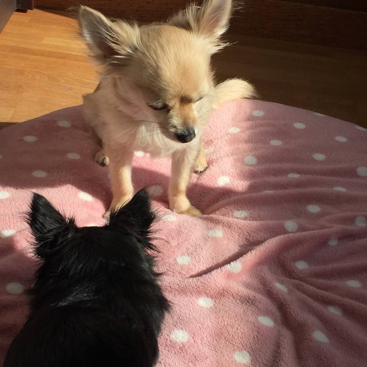 Af2e87c8 923d 4b7e 8faa 968311624cc7 1514864033030