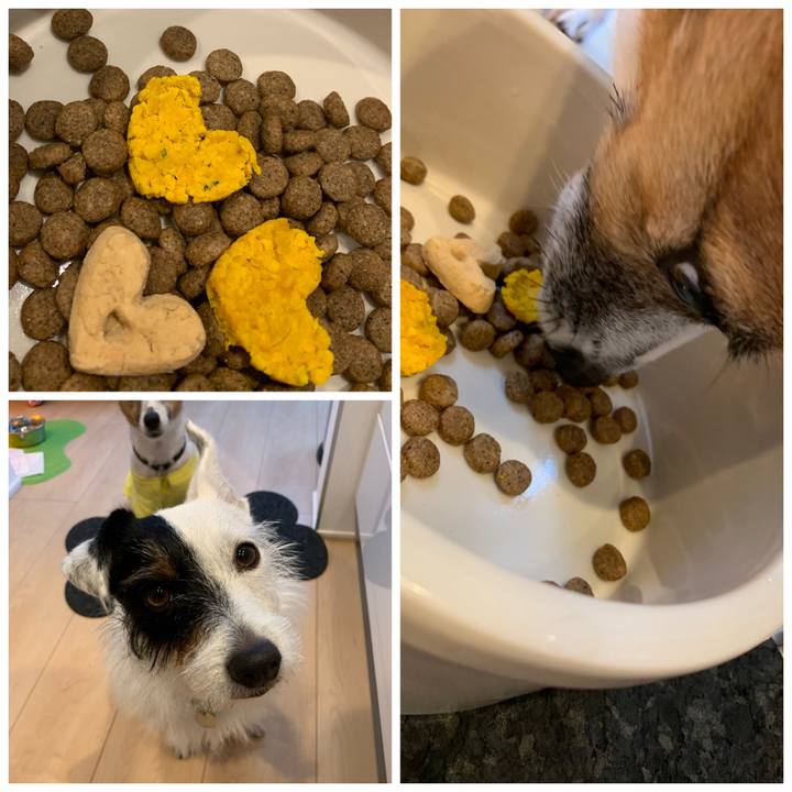 Af2e92f7 5b0c 474e 8578 86e745cadd94 1562248252590