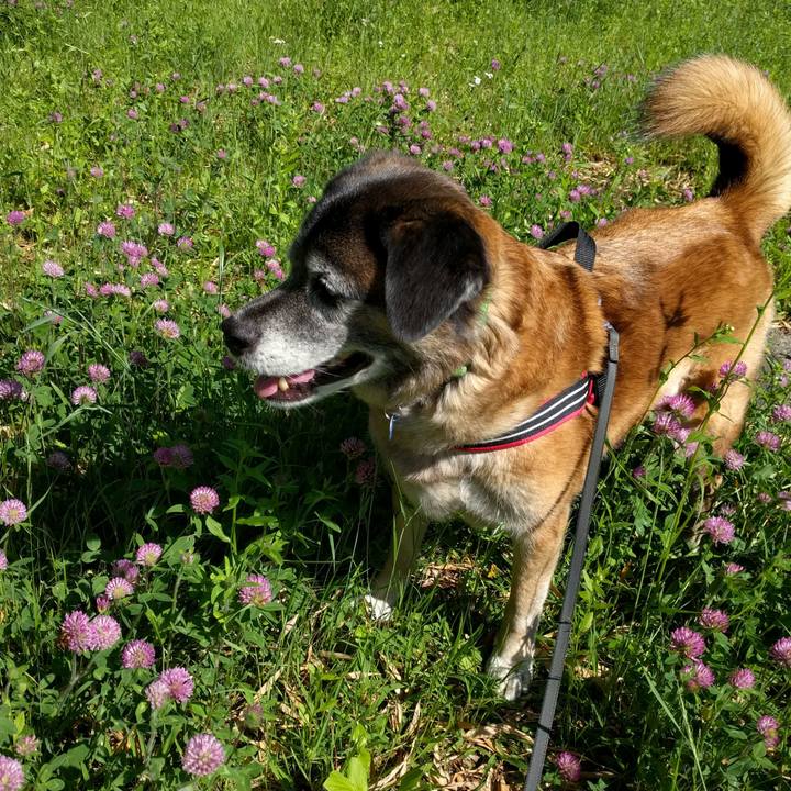 Af2ebabc 93e5 4d4c a336 c7b709feda74 1525396224316