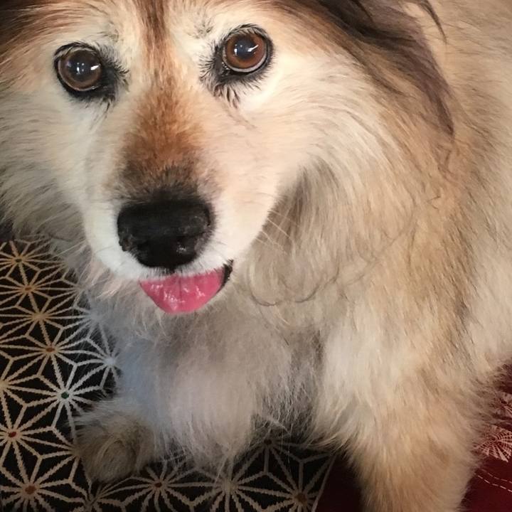 Af2ecdc7 d542 462e 802f 5db1700c8019 1600155531881