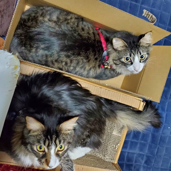 Af2ecf18 77fa 4c88 b2bf 3324364c3c37 1704857665522