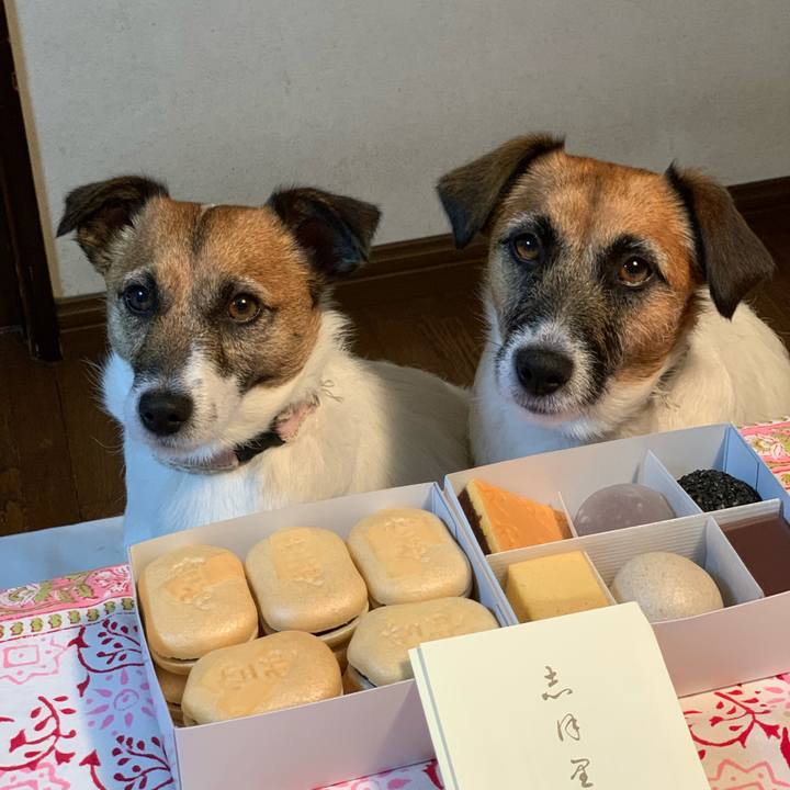 Af2eebbf 2695 4ad3 a067 87685f23116a 1590407026434