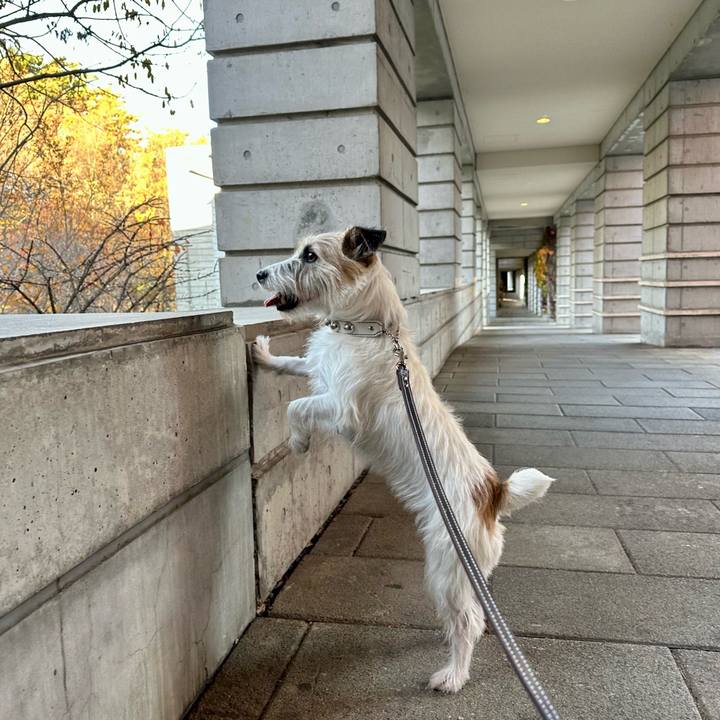 Af2eec8b b983 4e09 b39f 8f06af7332e2 1732983769909