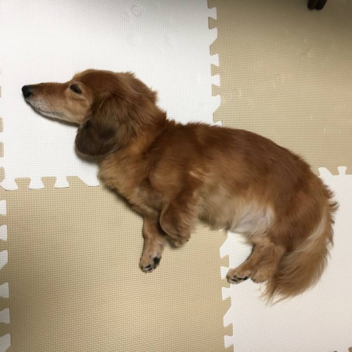 Af2f5128 0f15 4991 8af6 22996a4c161f 1619962608030