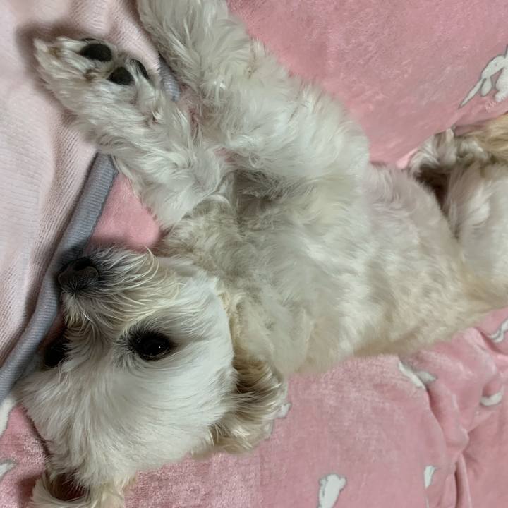 Af2fa7f4 f6ed 402a 88fd 253ea3edeb33 1611659705651