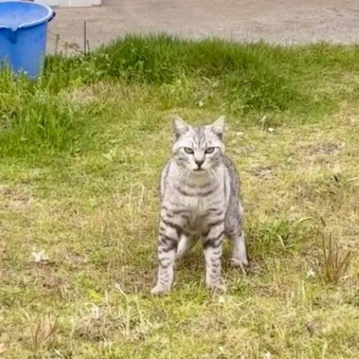 Af2fad9e eb82 46e5 8096 2911224bc2ca 1746450877043