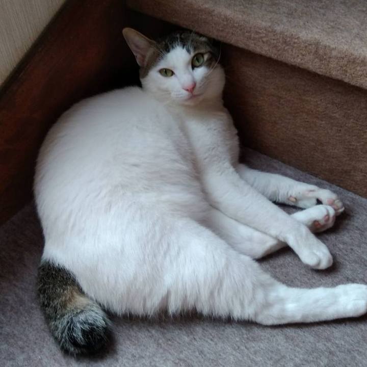 Af302313 4f72 4937 8db3 7535f85d4375 1691888130792