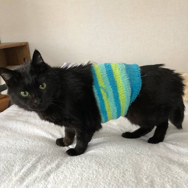 Af304f9d 4f9f 4101 93f4 c75739d52dd4 1611394535358