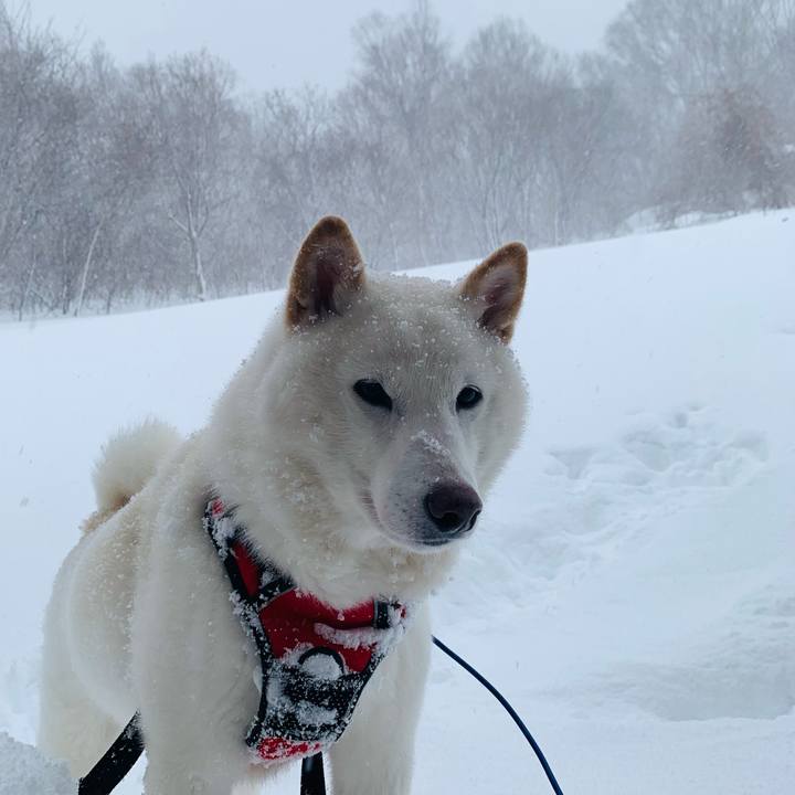 Af3065b7 2dd6 4a73 8cc3 63f25298ba7a 1642047856672