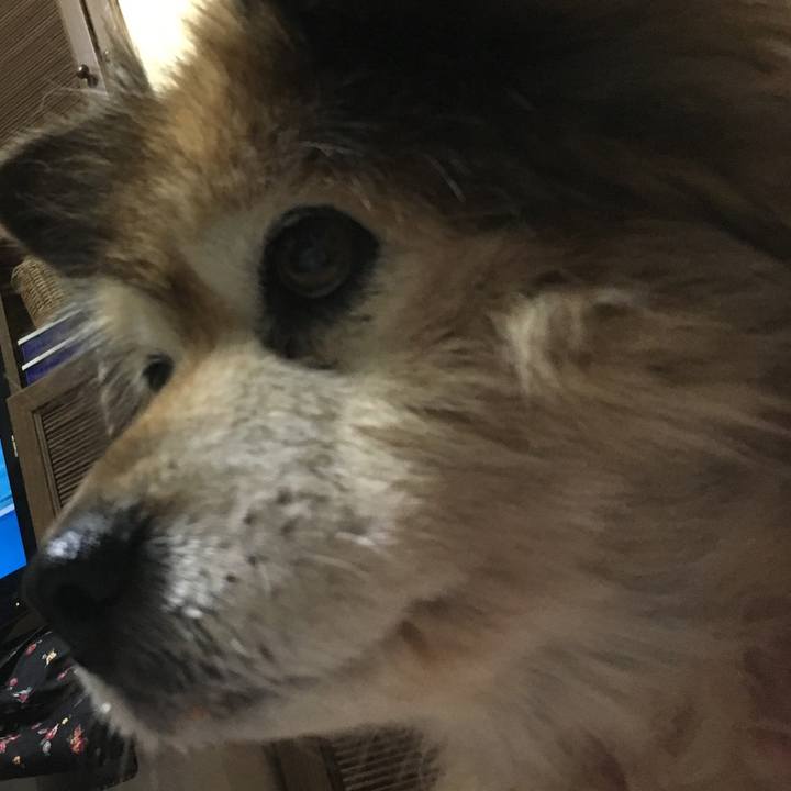 Af308cd6 1b50 48ee 83ff 8e95563685e9 1617581718821