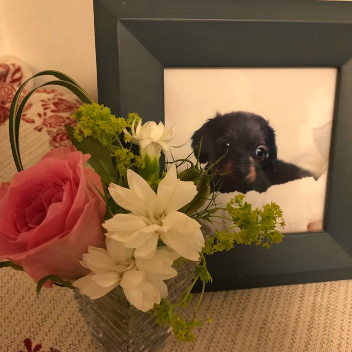 Af3092d4 1985 4720 8bc5 aec936eaa47c 1528122038213