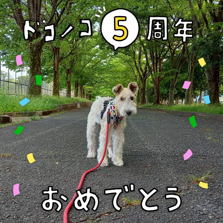 Af30a0c3 d887 45b8 9268 315d31af2b86 1622866231903