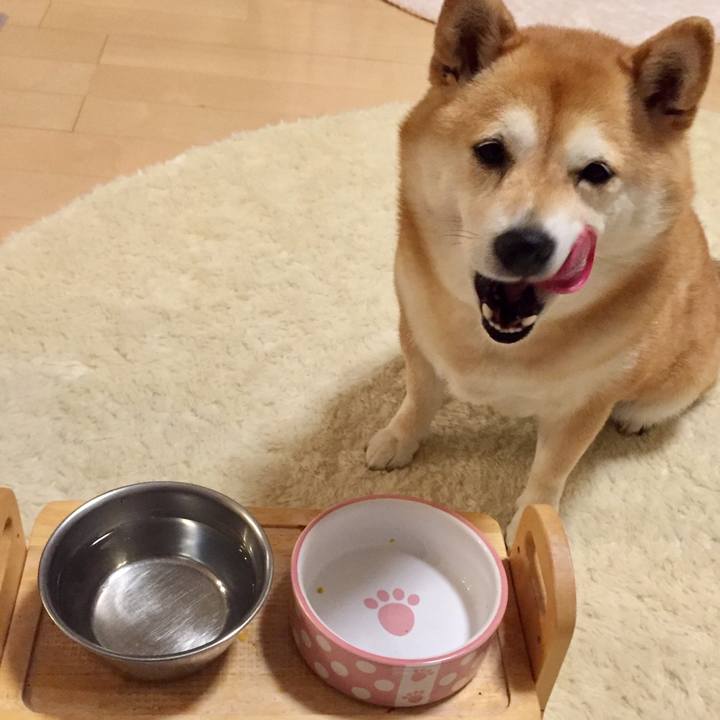 Af30a376 e1b4 4f2b 8c9c 566cd4ca26ae 1592314342311