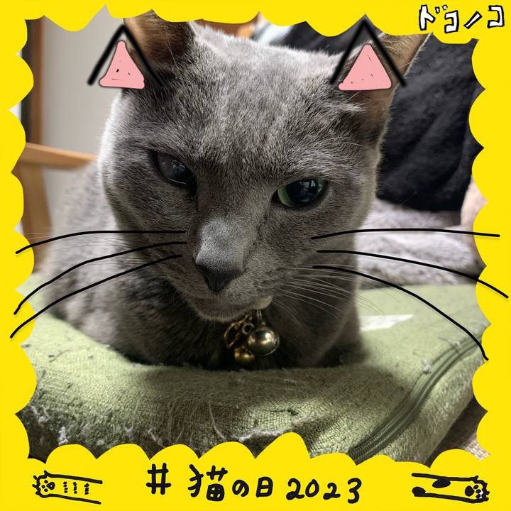 Af30d71e b75b 4a31 88b3 2a2d6fdf5d82 1677018783056