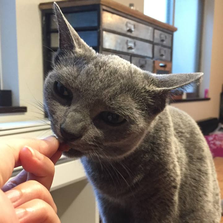 Af30da4e 82fa 49d7 884c 020fc516b6e5 1533597236754