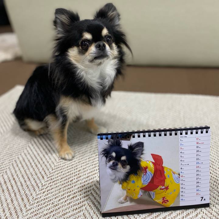 Af31407b fa9e 4686 97fd 35933d5e6810 1656627920549