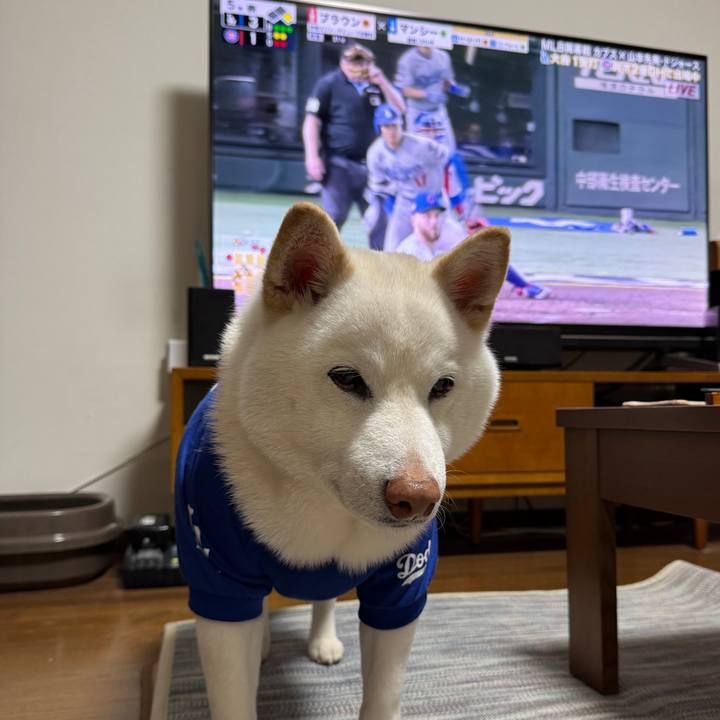 Af3147a8 b5af 40b4 b011 d0b5cdc66f5a 1742297524934