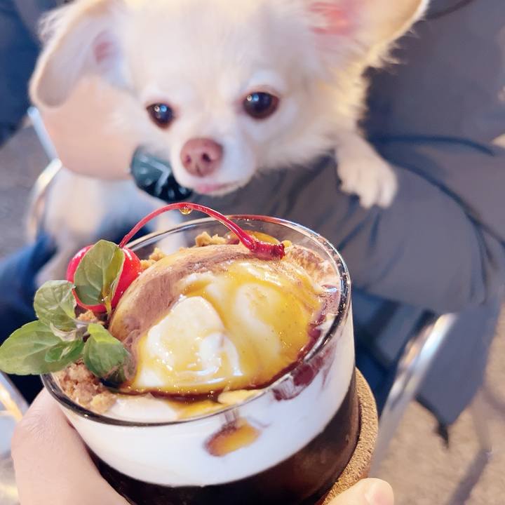 Af3151e7 94aa 45cb b2e6 fd73840f0bc6 1732330501995