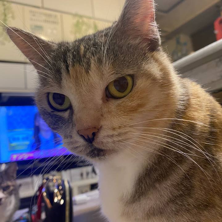 Af3160c8 0597 49db 919a 2ecf4044bfe2 1621269650227