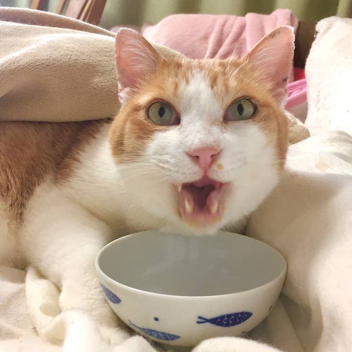 Af31964e 212d 4bee bbe8 661184e1d9f5 1584688933479