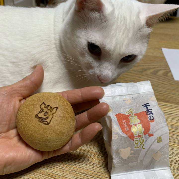 Af31a831 5d5f 47d6 9c7b 95ce098ecf4f 1609846797513