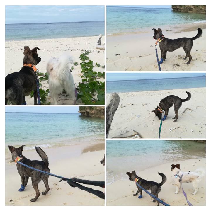 Af31be61 d13f 4fbf b40d 3797c5929aec 1545567574139