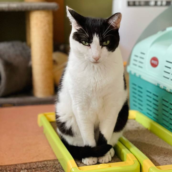 Af31c15f 8b64 4268 935a 85ec96d4941e 1639712855385