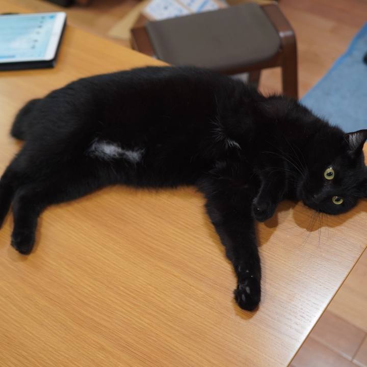 Af322d58 8744 490c 846b 2b45831ec91e 1600303334472