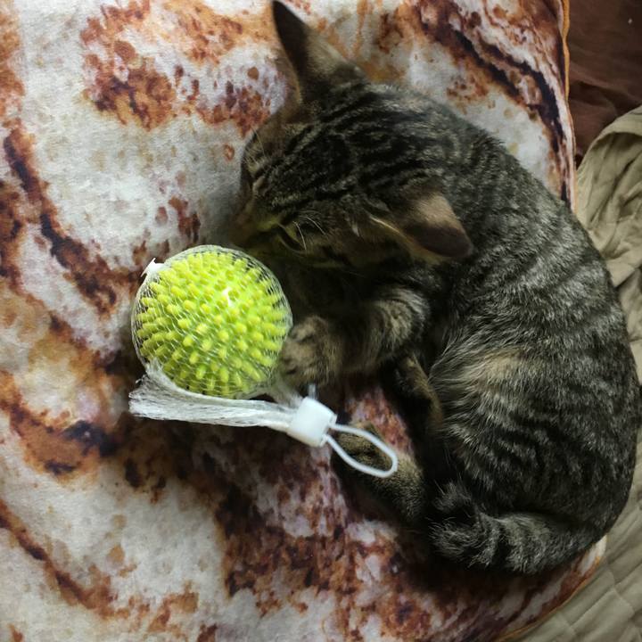 Af32347a 22a2 4ea5 adb1 ff60b45fd722 1557863837026