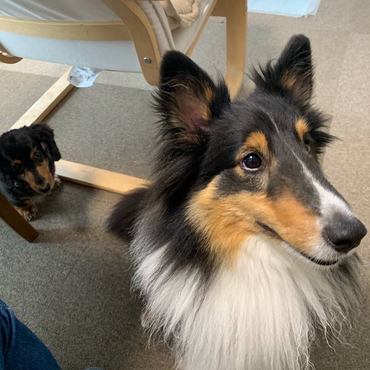 Af324046 6480 4284 af9c 88c6157b2f9c 1562276387802