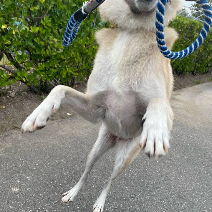 Af324dab f928 41f8 9ac7 0cbf3e482b2c 1663069978582