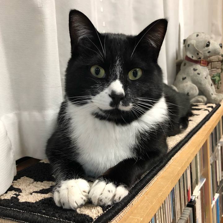 Af326388 44ad 4f26 834f 5db432db7ea3 1548906801222