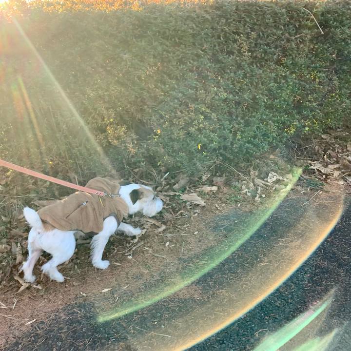 Af326b65 4865 4cec 988b b89bcc796f78 1672396786798