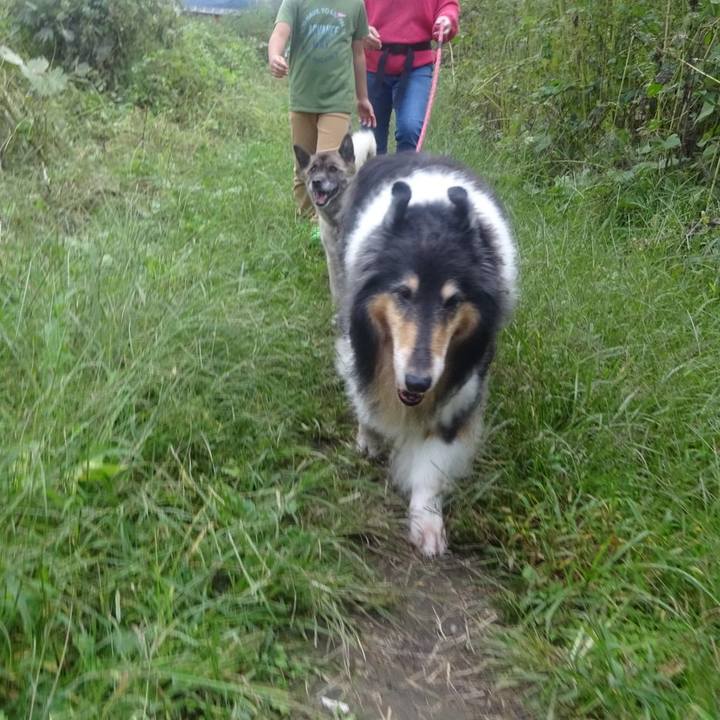 Af32b9a1 41ca 4614 8e59 7543bab38866 1602420722639