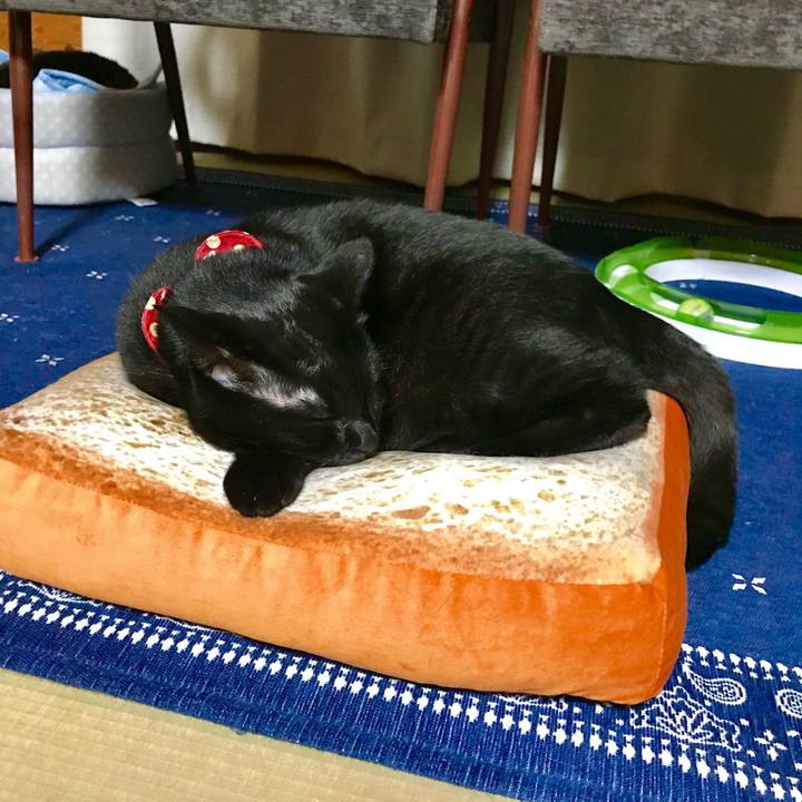 Af32be31 3dbc 4c94 9b1d 4dc9f68a9a8f 1525172846623