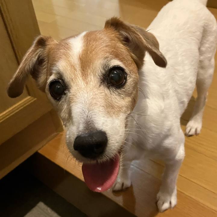 Af32caf1 c81e 4aff a1c0 53bee07877bd 1698933949923