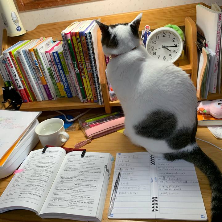 Af32dbb9 45a6 4552 8175 5cd7ca44d8ec 1635275771879