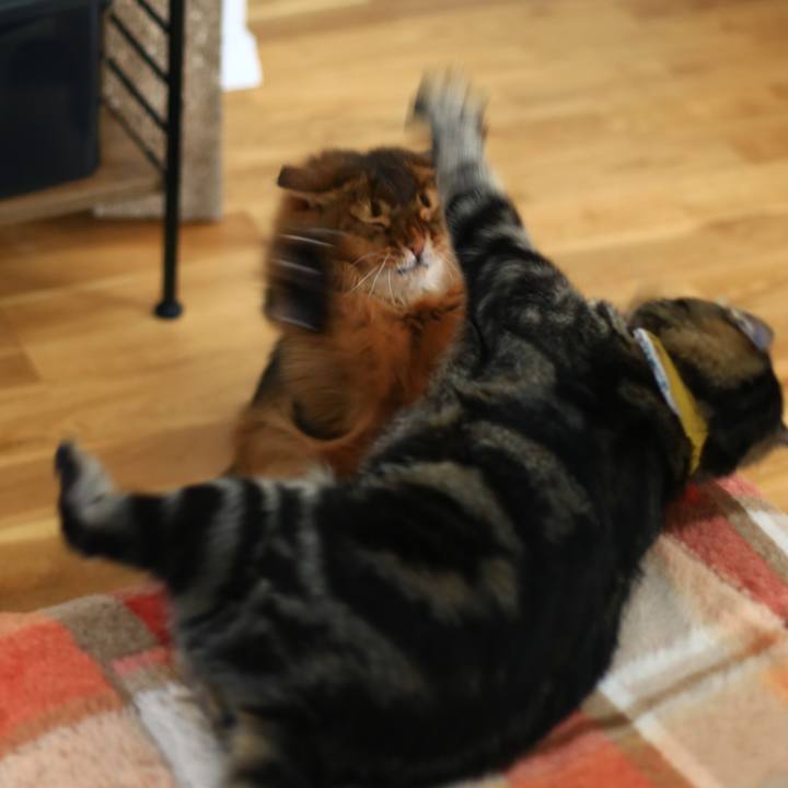 Af32e068 d3f2 4b44 aee6 ef44594771c6 1692801725816