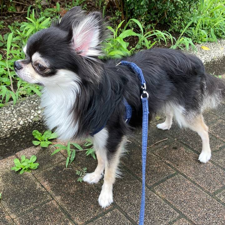 Af32e904 0550 40c6 96f0 ad8f3204bb02 1625285832533