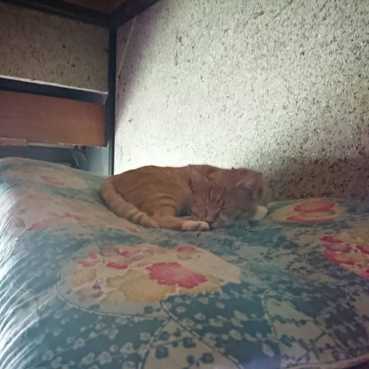 Af331b56 3c3e 4fcb b499 14703b41a058 1599366675833